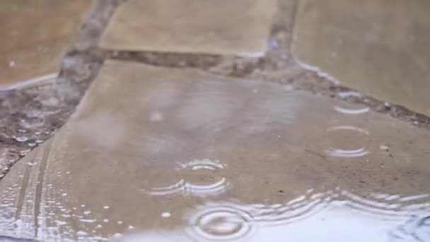 Pluie pluvieuse sur les pavés de pierre comme texture de fond pour la conception urbaine — Video