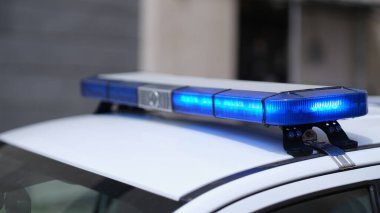 Polis ekipmanlı SWAT araçları ve güvenlik feneri.