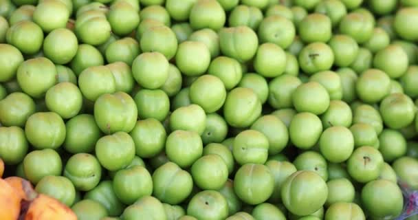 Čerstvé zralé šťavnaté zelené plody švestky na trhu detailní up — Stock video