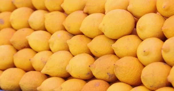 Spousta šťavnatých zralých žlutých citronů na trhu — Stock video