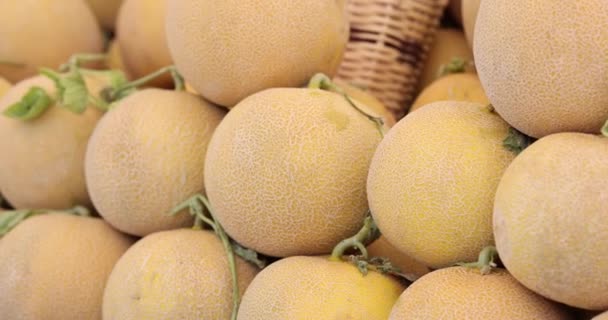 Čerstvé zralé šťavnatý meloun na trhu detailní up — Stock video