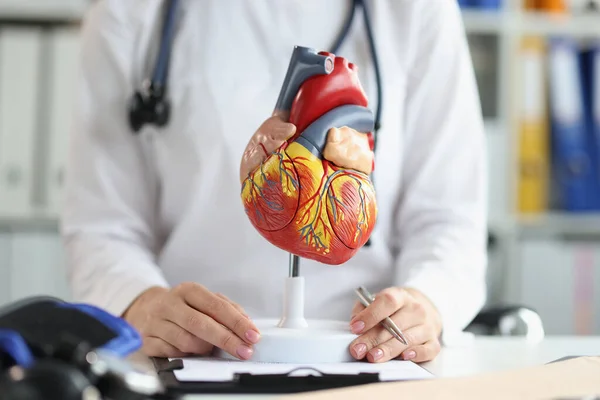 病院でのプラスチック製の心臓モデル,あなたの心をチェック,プロの診断 — ストック写真