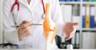 Doktor ya da stajyer insan dizinin iskelet modelini inceliyor.