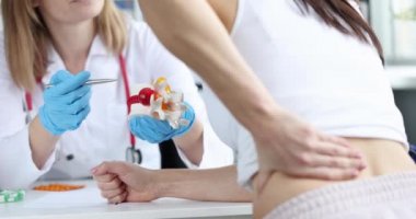 Doktor sırt ağrısı olan hastanın omurgalar arası bağlantı modelini gösteriyor.