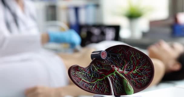 Médico haciendo examen de ultrasonido de órganos internos contra el fondo del modelo de primer plano del hígado humano película 4k — Vídeo de stock