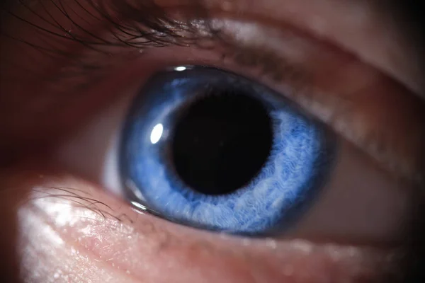 Closeup of beautiful bright blue human eye — Foto de Stock