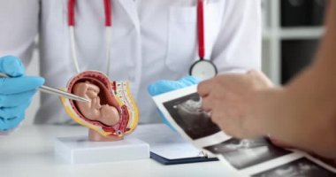Jinekolog, bebeğin ultrasonunu hamile kadına ve bebek modeline gösteriyor. Hamilelik konseptine göre fetüs gelişimi