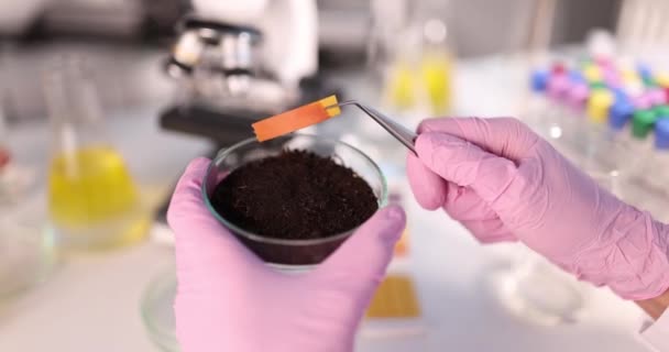 Researcher Holding Small Glass Flask Soil While Performing Test Strip — Stock Video