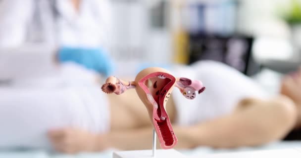 Mujer Embarazada Ultrasonido Hospital Examinando Útero Enfermedades Del Concepto Sistema — Vídeo de stock