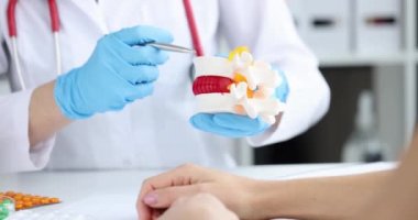 Doktor, sırt yapay disk fıtık modelinin iltihaplanmasına işaret ediyor. Omurgalar arası fıtık tedavisi