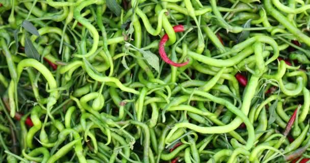 Bunch Fresh Green Red Chili Peppers Market Benefits Vitamins Hot — Stock Video