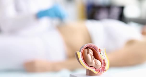 Operador Ultrasonido Escanea Vientre Mujer Embarazada Joven Con Sonda Ultrasonido — Vídeos de Stock
