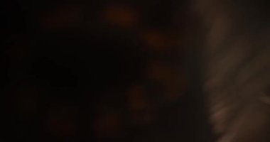 Bozukluklar doların üstüne düşer, yakın plan. Enflasyon kavramı, para meselesi, küresel ekonomik kriz.