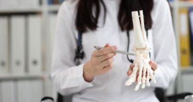 Doktor ayağın anatomik modelini gösteriyor, yakın plan. Fraktür teşhisi, ameliyat eğitimi, ilaç