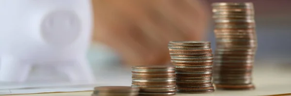 Münzen Einer Reihe Und Ein Sparschwein Großaufnahme Verschwommen Rentenersparnisse Zinsentwicklung — Stockfoto