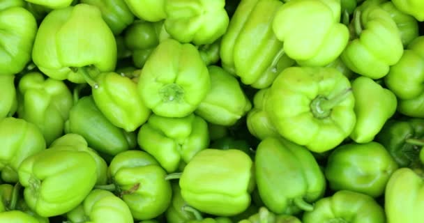Νέα Σοδειά Από Ζουμερές Πράσινες Πιπεριές Στην Αγορά Φρέσκα Λαχανικά — Αρχείο Βίντεο