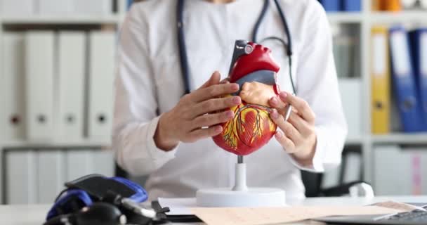 心臓科医はレイアウト上の心臓の解剖学を示しています 心臓疾患の概念の診断と治療 — ストック動画