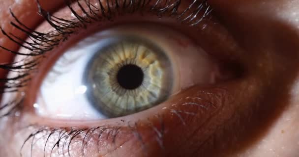 Vrouwelijk Oog Met Grijsgroene Iris Close Oogziekten Laser Visie Correctie — Stockvideo