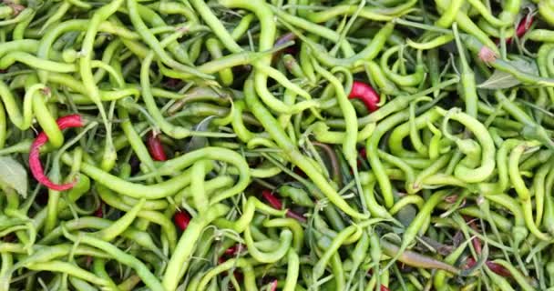 Chiles Verdes Frescos Chiles Mercado Verduras Fuente Vitamina Los Beneficios — Vídeos de Stock