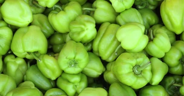 Φρέσκες Ζουμερές Πιπεριές Στην Αγορά Λαχανικών Έννοια Οφέλη Για Την — Αρχείο Βίντεο