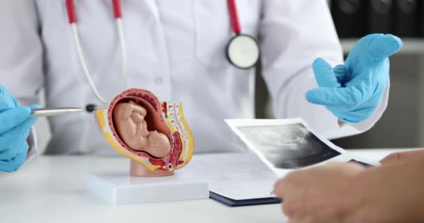 Médico Mostra Ecografia Mulher Grávida Anatomia Feto Verificação Médica Durante — Vídeo de Stock