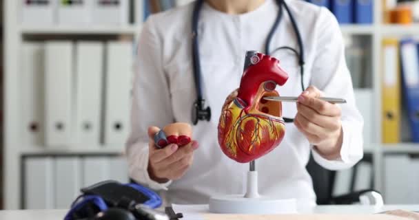 Cardiologist Doctor Stethoscope Holds Model Human Heart Hands Explains Its — ストック動画