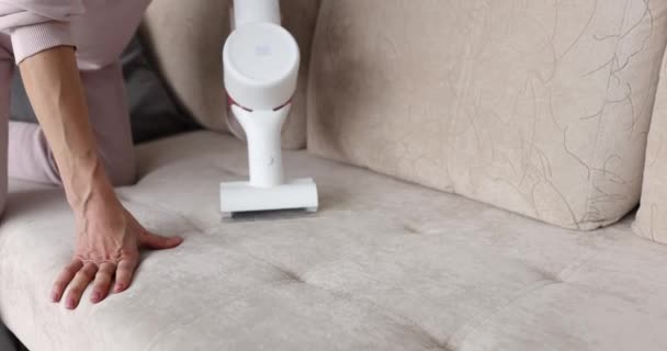 Woman Vacuums Bright Sofa Living Room Upholstered Furniture Cleaning Concept — Stockvideo