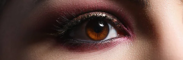 Brillante Maquillaje Profesional Rosa Los Ojos Mujer Primer Plano Inventar —  Fotos de Stock