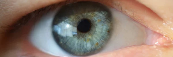 Primer Plano Del Ojo Humano Macrofotografía Extrema Las Personas Visión — Foto de Stock