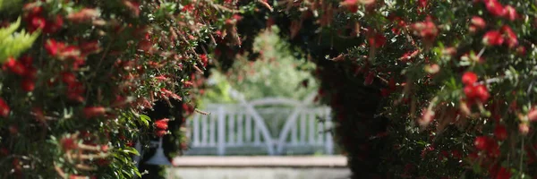 Corridor Garden Decorative Flowering Arch Close Outdoor Decoration Made Green — Stockfoto