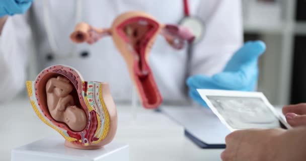 Kobieta Ciąży Ginekologa Omawia Usg Płodu Macicy Planowanie Ciąży Koncepcja — Wideo stockowe