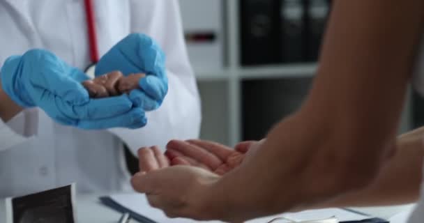 Doctor Holds Anatomical Model Human Fetus Hands Passes Woman Waiting — Vídeos de Stock