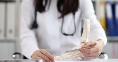 Doctor demonstrates model of human ankle bone anatomy. Bone arthritis and treatment concept