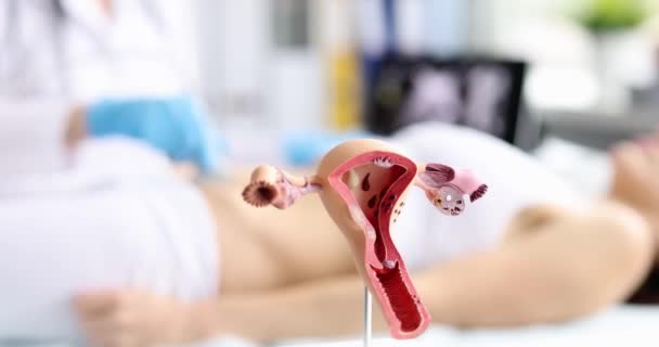 Doktor Dělá Ultrazvuk Ženského Reprodukčního Systému Ženy Klinice Lékařské Vyšetření — Stock video
