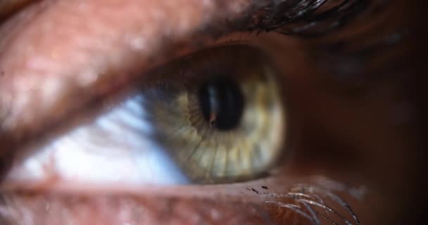 Grijs Groen Oog Openende Pupil Van Iris Van Menselijk Oog — Stockvideo