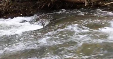 Küçük dağ nehrinde akan temiz suyun yakınına. Soğuk dağ nehri kavramının hızlı akışı