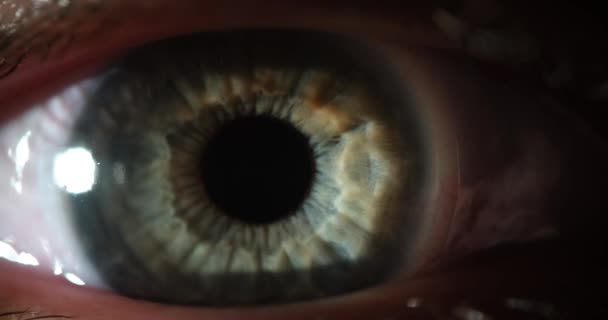 Макро Красота Открывающая Серый Глаз Выглядит Испуганно Моргая Здоровым Зрением — стоковое видео