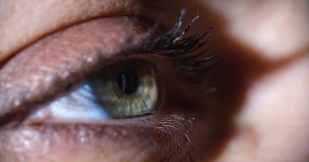 Macro Green Female Eye Mascara Closeup Woman Open Look Eyelash — Stok video