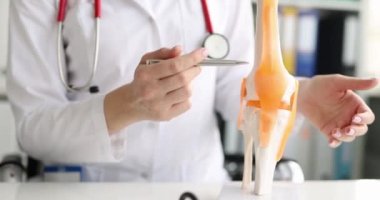 Treatment of human cruciate ligament injuries. Orthopedist showing cruciate ligament in knee joint medical training model concept