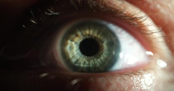 Closeup Green Female Eye Contact Lens Movie Vision Correction Concept — Vídeos de Stock