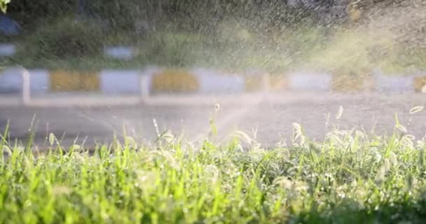 Trickles Water Flowing Out Lawn Irrigation System Movie Slow Motion — Stockvideo