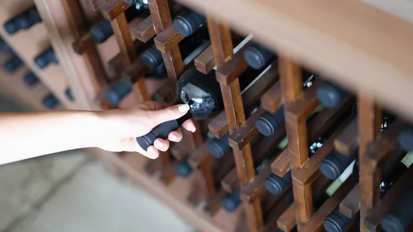 Woman Chooses Bottle Wine Cellar Closeup Expensive Collectible Red Wines — Photo