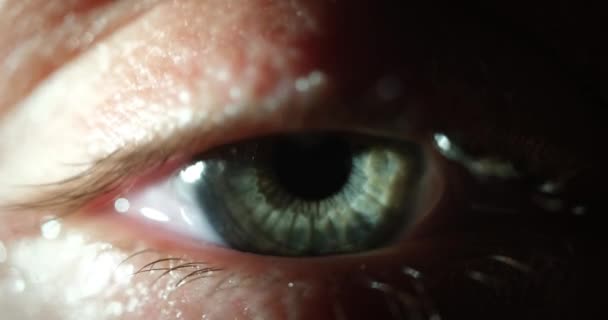Closeup Macro Eye Opening Beautiful Blue Gray Green Iris Natural — Stok video