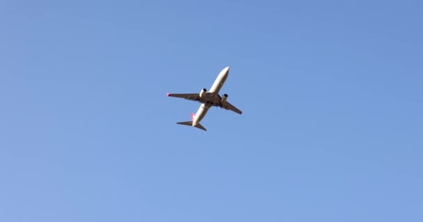 Passenger Plane Flies High Sky Close Aircraft Taking Cloudless Blue — Stockvideo
