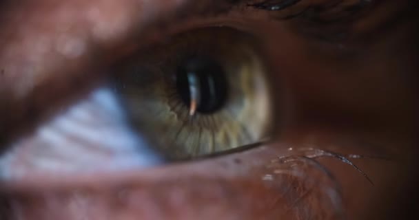 Close Human Eye Blinking Side View Slowmotion Womans Look Vision — Stok video
