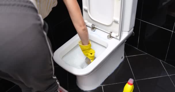 Woman Brushing Toilet Bowl Home View Back Close Housework Cleaning — Vídeo de Stock