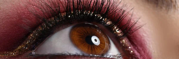 Zbliżenie Piękne Kobiece Oko Jasnym Profesjonalnym Makijażem Wieczorna Koncepcja Makijażu — Zdjęcie stockowe
