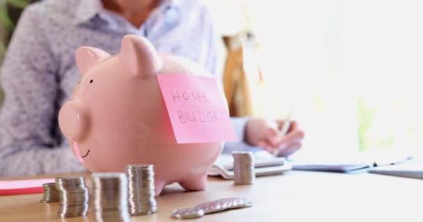 Woman Writes Family Budget Plan Table Piggy Bank Stacks Coins — Vídeos de Stock