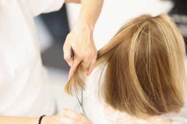 Woman hairdresser cuts hair with scissors in barbershop. Hairdresser holds lock of hair and comb and scissors in his hand between fingers closeup