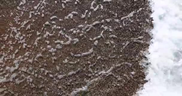 海岸沿いの泡のエブ クローズアップ 下をご覧ください 美しい茶色の砂ときれいな水 エコホリデー — ストック動画
